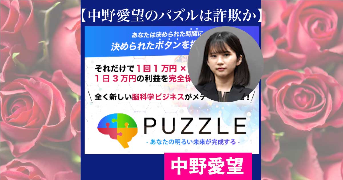 中野愛望のパズル(puzzle)は副業詐欺か