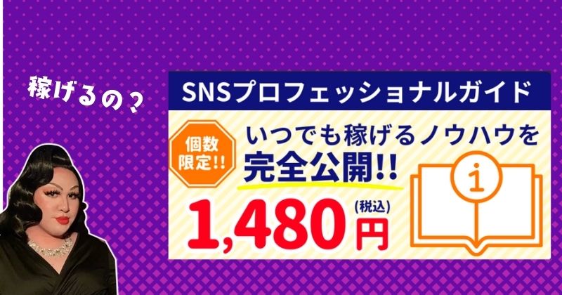 SNSのプロフェッショナルガイド1480円を販売