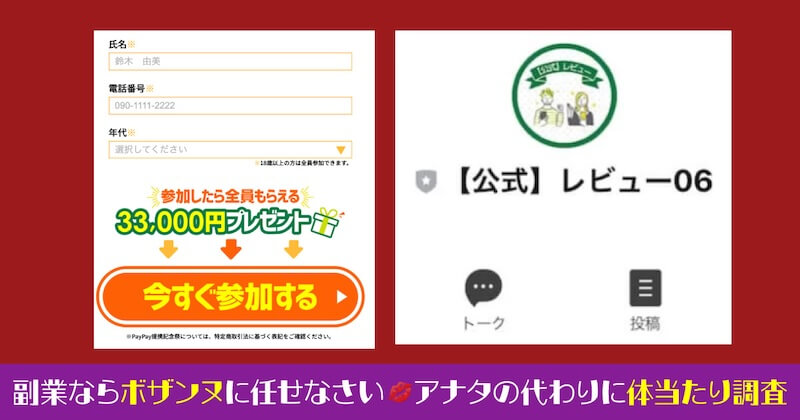 株式会社新の副業は詐欺か