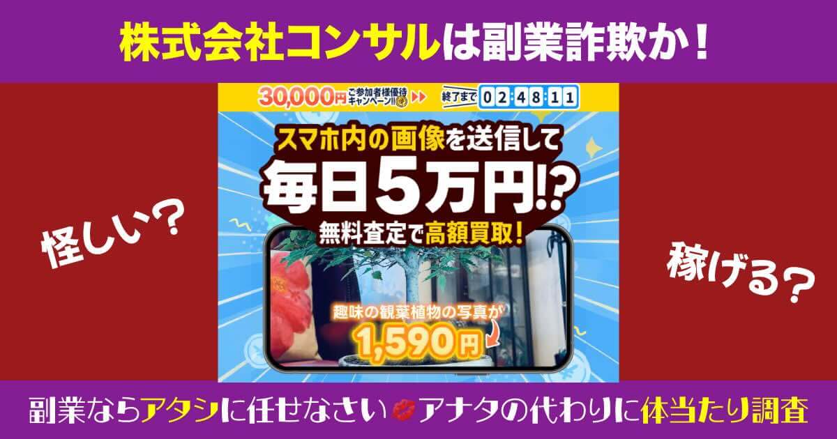 株式会社コンサルの副業は詐欺か